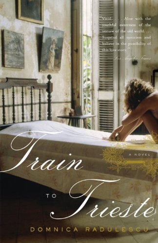 Cover for Domnica Radulescu · Train to Trieste (Taschenbuch) (2009)