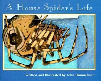 Cover for John Himmelman · A House Spider's Life (Nature Upclose) - Nature Upclose (Paperback Book) (2001)