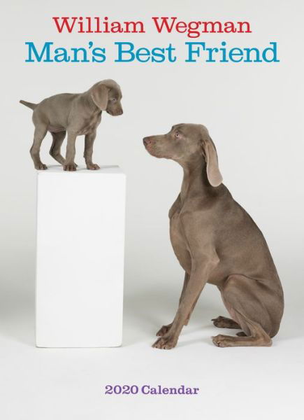 Cover for William Wegman · William Wegman Man's Best Friend 2020 Wall Calendar (Klær) (2019)