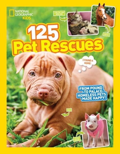 Cover for National Geographic Kids · 125 Pet Rescues: From Pound to Palace: Homeless Pets Made Happy - 125 (Paperback Bog) (2017)