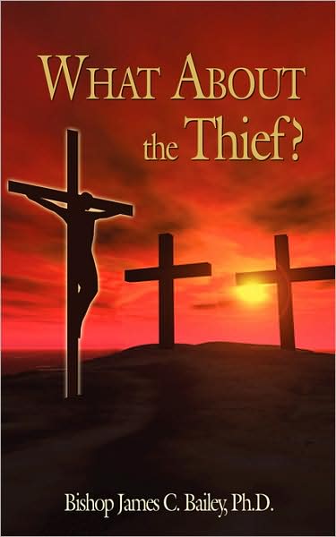 What About the Thief? - James Bailey - Books - AuthorHouse - 9781434375360 - May 13, 2008