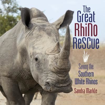 Cover for Sandra Markle · The great rhino rescue (Book) (2018)