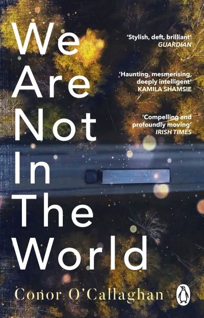 Cover for Conor O'Callaghan · We Are Not in the World: ‘compelling and profoundly moving’ Irish Times (Pocketbok) (2022)