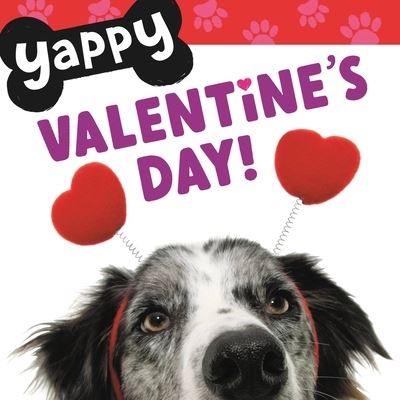 Cover for WorthyKids · Yappy Valentine's Day! (Board book) (2023)