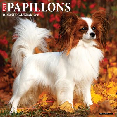 Willow Creek Press · Just Papillons 2025 12 X 12 Wall Calendar (Calendar) (2024)