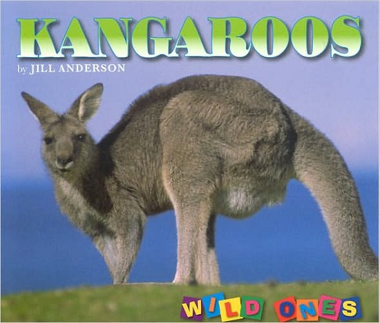 Cover for Jill Anderson · Kangaroos - Wild Ones (Pocketbok) (2006)