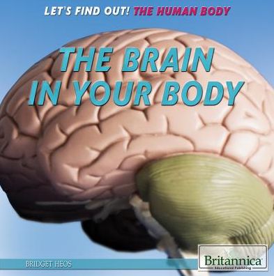 Cover for Bridget Heos · The Brain in Your Body (Hardcover Book) (2014)