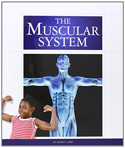 Cover for Susan Heinrichs Gray · The Muscular System (Human Body) (Hardcover Book) [Nov edition] (2014)