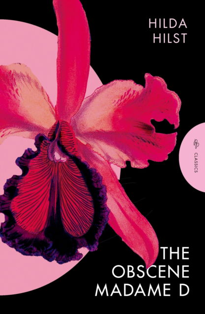 Cover for Hilda Hilst · The Obscene Madame D (Paperback Book) (2025)
