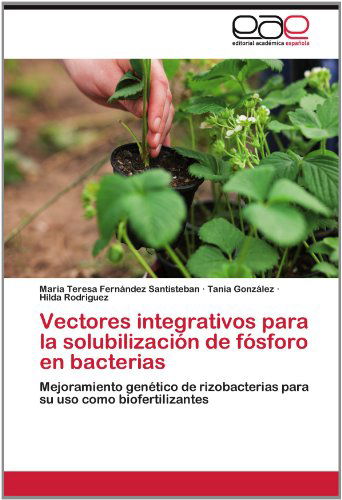 Cover for Hilda Rodriguez · Vectores Integrativos Para La Solubilización De Fósforo en Bacterias: Mejoramiento Genético De Rizobacterias Para Su Uso Como Biofertilizantes (Paperback Book) [Spanish edition] (2012)