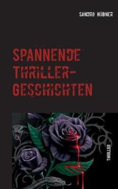 Cover for Hübner · Spannende Thriller-Geschichten (Book) (2018)
