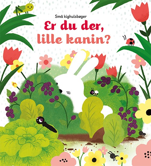 Cover for Sam Taplin · Små kighulsbøger: Er du der, lille kanin? (Bound Book) [1st edition] (2019)