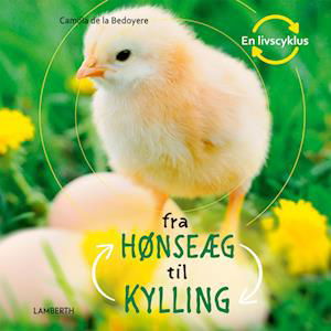 En livscyklus: Fra hønseæg til kylling - Camilla de la Bédoyère - Books - LAMBERTH - 9788775660360 - April 24, 2023