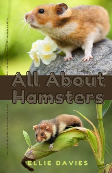 Cover for Ellie Nicole Davies · All About Hamsters (Paperback Book) (2021)