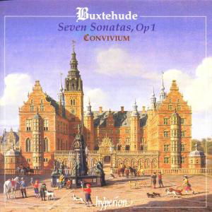 Buxtehudeseven Sonatas - Convivium - Musikk - HYPERION - 0034571172361 - 1. mars 2002