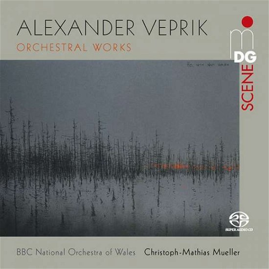 Cover for BBC National Orchestra of Wales / Müller · Orchestral Works (SACD) (2019)