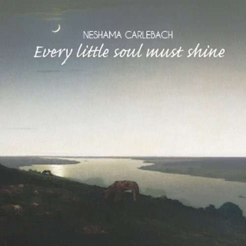 Cover for Neshama Carlebach · Every Little Soul Must Shine (CD) [Digipak] (2013)