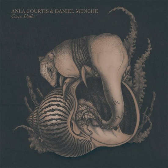 Cover for Anla Courtis · Cuspa Llullu / Daniel Menche (LP) (2020)