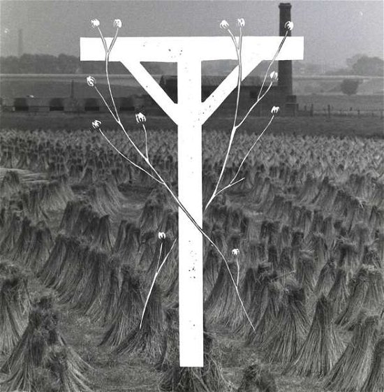 Cover for Amenra · Amenra: Zjef Van Vanuytsel (SCD) (2020)