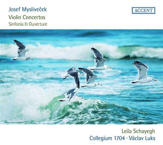Cover for Collegium 1704 / Vaclav Luks / Leila Schayegh · Violin Concertos Sinfonia &amp; Overture (CD) (2018)
