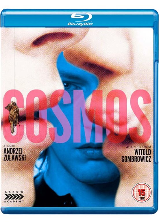 Cosmos - Cosmos BD - Movies - ARROW FILMS - 5027035015361 - October 17, 2016