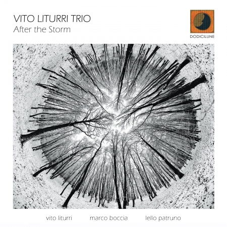 Cover for Vito Liturri · After the Storm (CD) (2014)