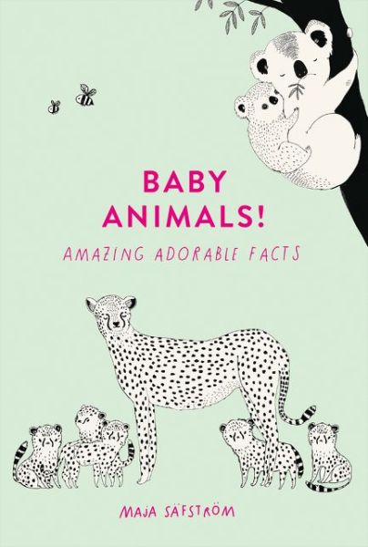 Baby Animals!: Amazing Adorable Facts - Maja Safstrom - Books - HarperCollins Publishers - 9780008372361 - September 19, 2019