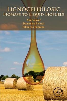 Cover for Yousuf, Abu (Professor, Department of Chemical Engineering and Polymer Science, Shahjalal University of Science and Technology, Bangladesh) · Lignocellulosic Biomass to Liquid Biofuels (Paperback Book) (2019)