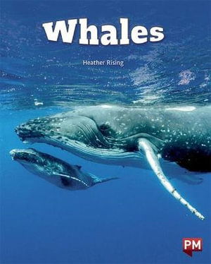 Cover for Heather Rising · Whales (Paperback Book)