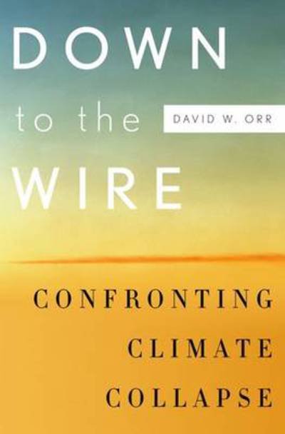 Cover for Orr, David W. (Professor of Environmental Studies and Politics, Professor of Environmental Studies and Politics, Oberlin College, Oberlin, OH) · Down to the Wire: Confronting Climate Collapse (Pocketbok) (2012)
