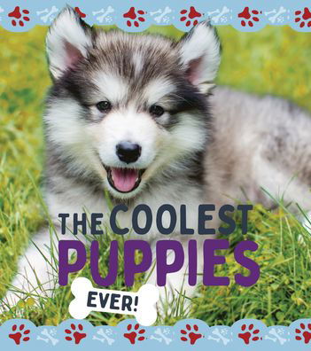 Cover for Nancy Dickmann · The Coolest Puppies (Hardcover Book) (2022)