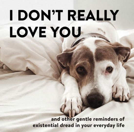 I Don't Really Love You: And Other Gentle Reminders of Existential Dread in Your Everyday Life - Alex Beyer - Books - Running Press,U.S. - 9780762465361 - November 15, 2018