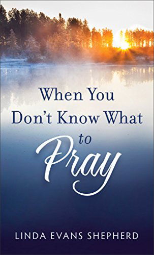 Cover for Linda Evans Shepherd · When You Don't Know What to Pray (Paperback Book) (2015)