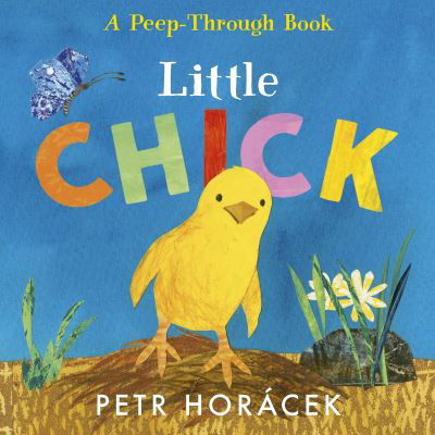 Cover for Petr Horacek · Little Chick (Kartongbok) (2024)