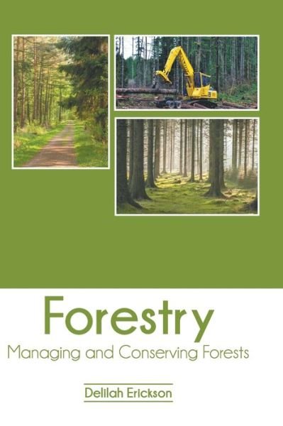 Cover for Delilah Erickson · Forestry: Managing and Conserving Forests (Hardcover Book) (2020)
