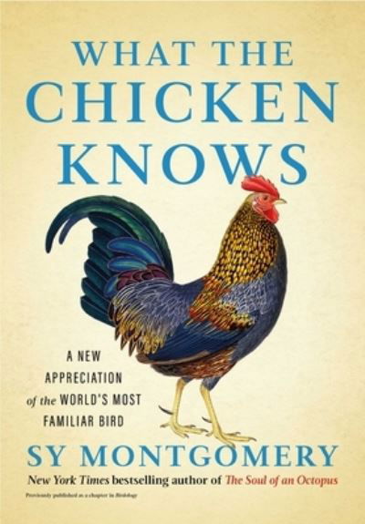 Cover for Sy Montgomery · What the Chicken Knows: A New Appreciation of the World's Most Familiar Bird (Inbunden Bok) (2024)