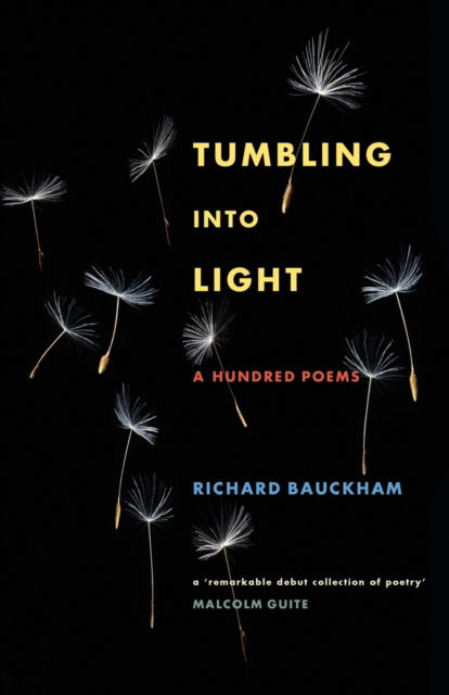 Cover for Richard Bauckham · Tumbling Into Light: Collected Poems (Pocketbok) (2022)