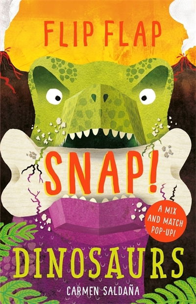Cover for Joanna McInerney · Flip Flap Snap: Dinosaurs - Flip Flap Snap (Hardcover bog) (2019)