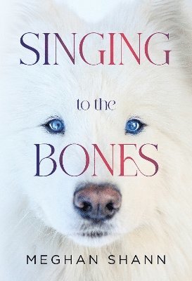 Cover for Meghan Shann · Singing to the Bones (Paperback Book) (2025)