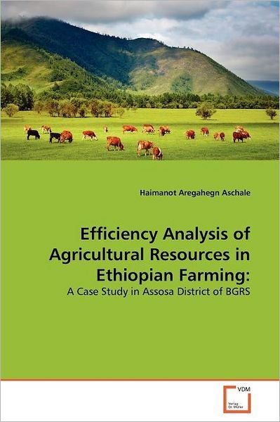 Cover for Haimanot Aregahegn Aschale · Efficiency Analysis of Agricultural Resources in Ethiopian Farming:: a Case Study in Assosa District of Bgrs (Paperback Book) (2011)