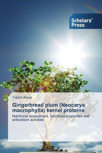 Cover for Amza · Gingerbread plum (Neocarya macroph (Book) (2013)