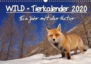 Cover for Colombo · WILD - Tierkalender 2020 (Wandk (Book)