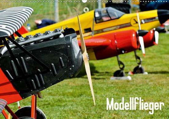 Modellflieger / CH-Version (Wandk - Selig - Livros -  - 9783670491361 - 