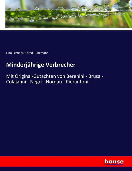 Cover for Ferriani · Minderjährige Verbrecher (Book) (2017)