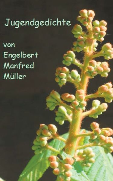 Cover for Engelbert Manfred Muller · Jugendgedichte (Paperback Book) (2020)