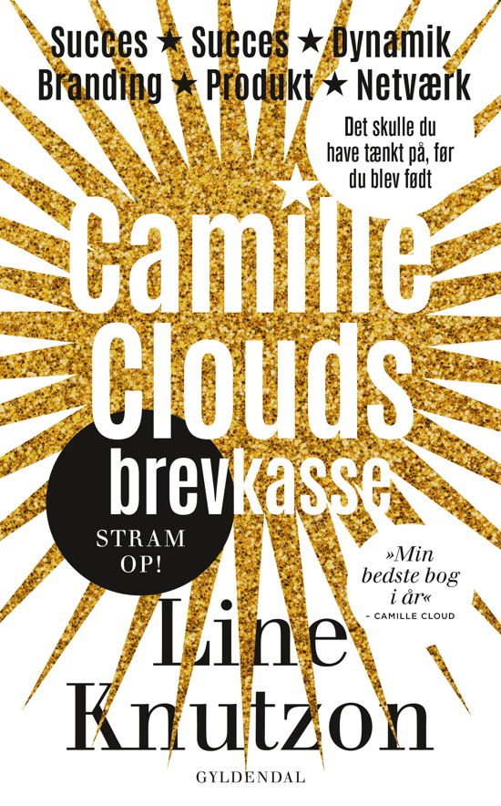 Cover for Line Knutzon · Camille Clouds brevkasse (Sewn Spine Book) [1º edição] (2017)