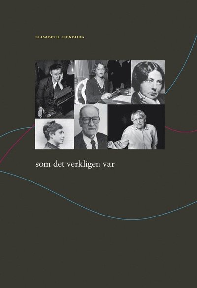 Cover for Elisabeth Stenborg · Som det verkligen var (Paperback Book) (2009)