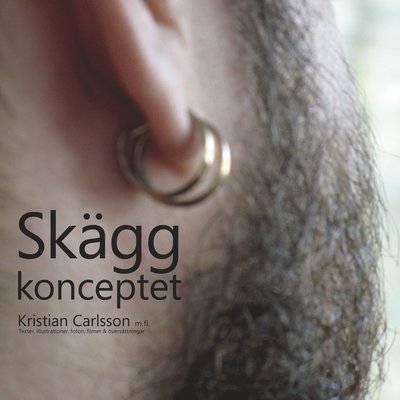 Cover for John Lyly · Skäggkonceptet (Book) (2014)