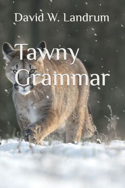 Cover for David W Landrum · Tawny Grammar (Paperback Book) (2022)