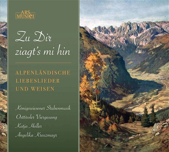 Cover for Koenigswiesener Stubenmus · Zu Dir ziagt's mi hin (CD) (2011)